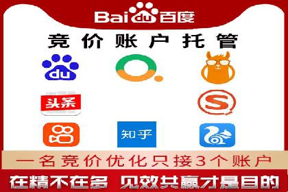 行业标杆：SEM托管公司案例解析