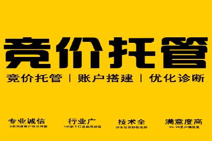 百度竞价账户托管服务深度解读及成功案例分析
